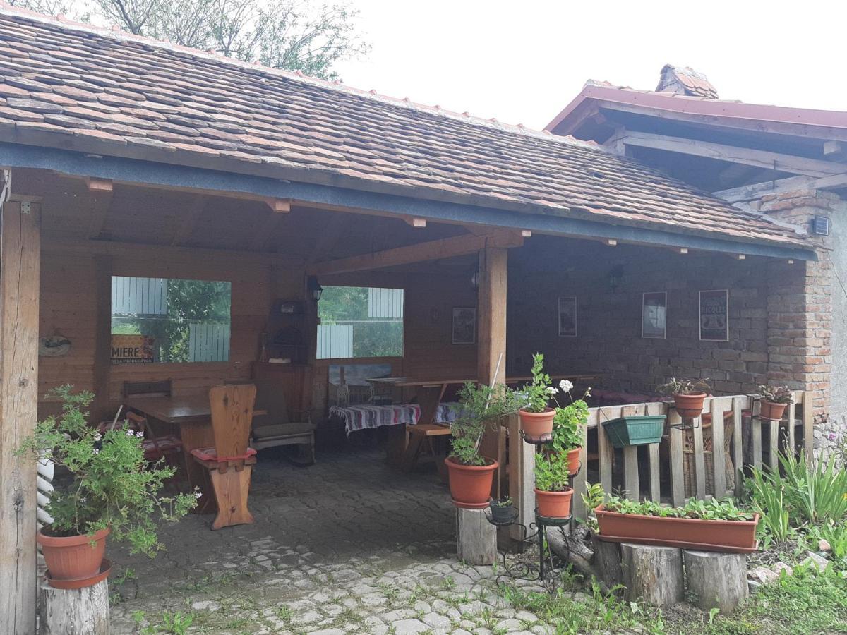 Ferienwohnung Casa Maria Cincu Exterior foto
