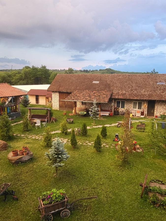 Ferienwohnung Casa Maria Cincu Exterior foto