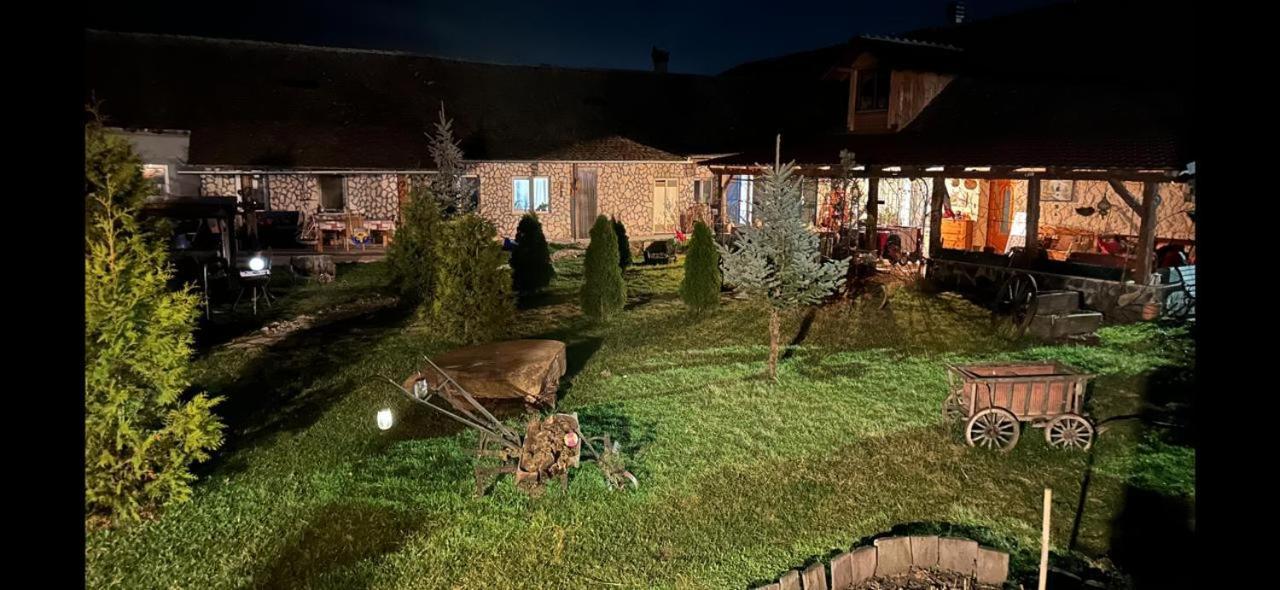 Ferienwohnung Casa Maria Cincu Exterior foto